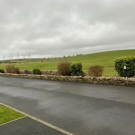 Daffodil * Cockermouth