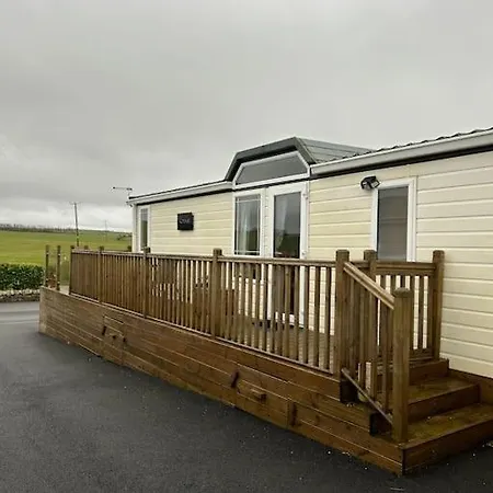 Daffodil Cockermouth