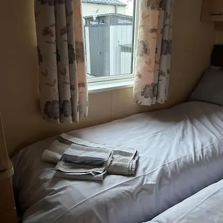 Daffodil * Cockermouth