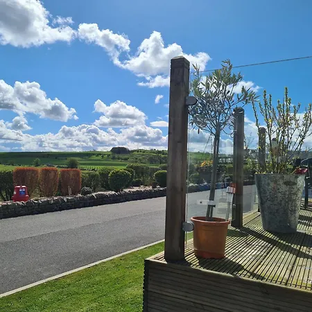 Daffodil Cockermouth