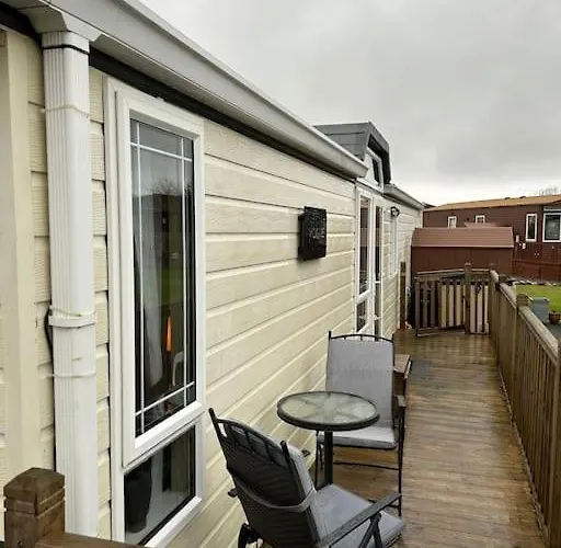 Daffodil Cockermouth